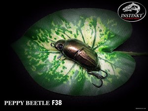 2C717447-F5D2-4E16-B893-7BC65D583AB2.jpeg