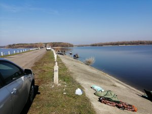 IMG_20190331_103145[1].jpg