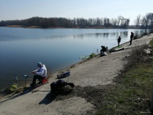 IMG_20190331_103141[1].jpg