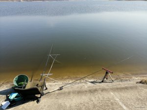 IMG_20190331_103157[1].jpg