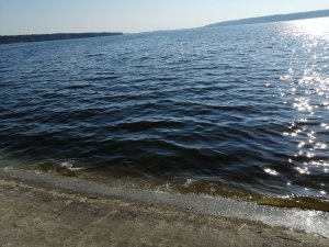 IMG_20190331_160749[1].jpg