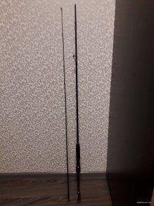 20190328_222224.jpg