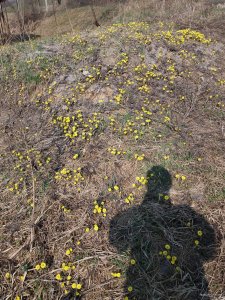 20190401_102315.jpg