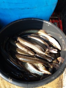 20190401_162122.jpg