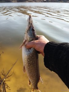 20190401_162203.jpg