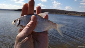 IMG_20190402_115816.jpg