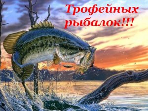 Хищник.jpg