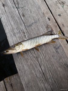 20190404_170917.jpg