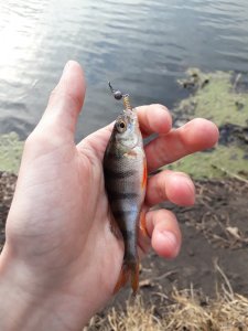 20190404_162937.jpg