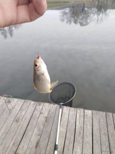 IMG_20190405_095727.jpg