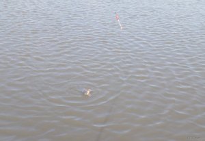 IMG_20190406_093041.jpg