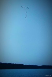 IMG_20190406_162827.jpg