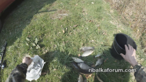 vlcsnap-2019-04-06-15h14m38s178 (Копировать).png