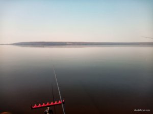 IMG_20190406_093731.jpg