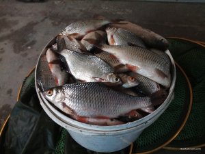 IMG_20190406_180129.jpg
