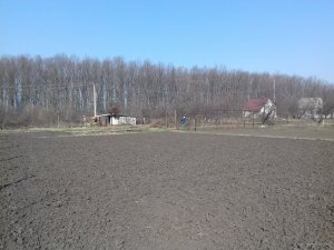 20190406_091022.jpg