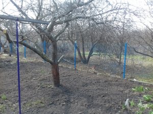 20190406_121951.jpg