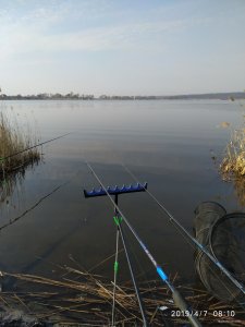 IMG_20190407_081015.jpg