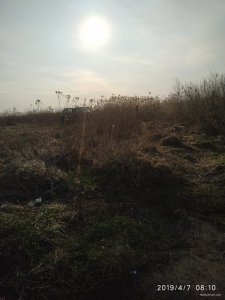 IMG_20190407_081028.jpg