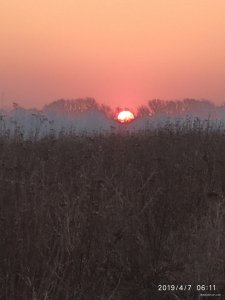IMG_20190407_061146.jpg