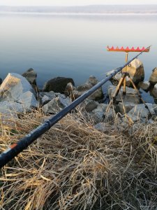 IMG_20190407_065339[1].jpg