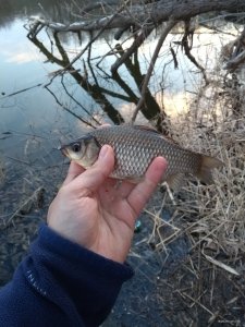 IMG_20190407_185937165.jpg