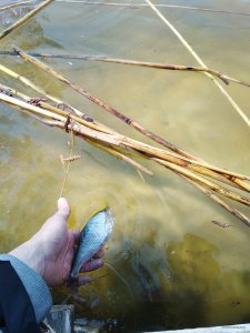 IMG_20190408_194402.jpg