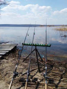 IMG_20190408_194335.jpg