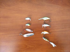 IMG_20190410_083958145.jpg