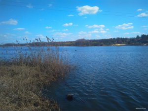 IMG_20190410_114726.jpg