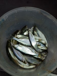 20190411_181410.jpg
