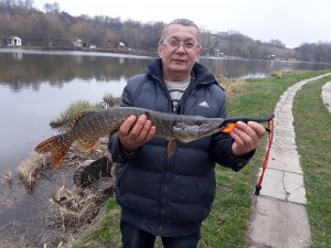 20190413_141419.jpg