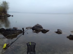 20190413_103334.jpg