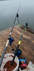 IMG_20190414_065343.jpg