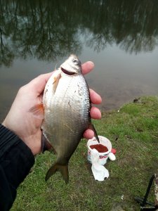 IMG_20190414_104237.jpg