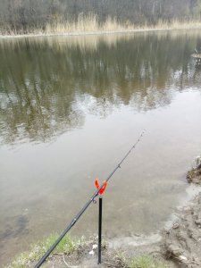 IMG_20190414_140300.jpg