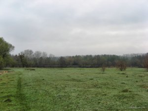 IMG_4535.JPG