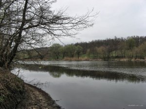 IMG_4539.JPG