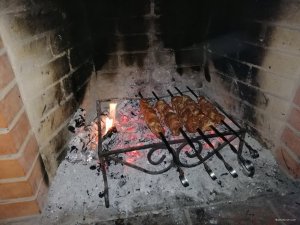 шашель.jpg