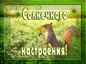 6 (6).gif