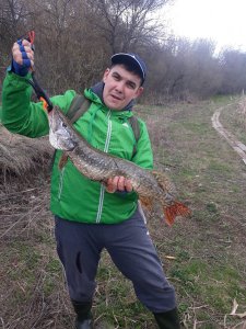20190417_163914.jpg