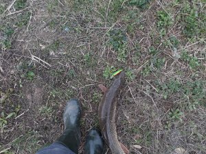 20190417_163522.jpg