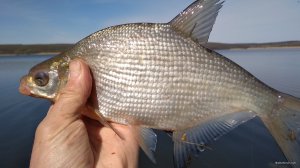IMG_20190418_101148.jpg
