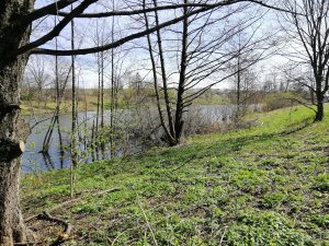 IMG_20190418_104315.jpg