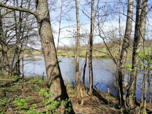 IMG_20190418_104320.jpg