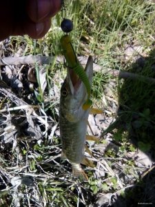 IMG_20190420_092834.jpg