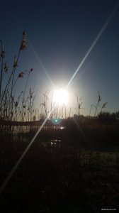 20190418_064106.jpg