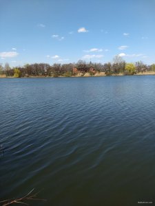 IMG_20190421_122224834.jpg