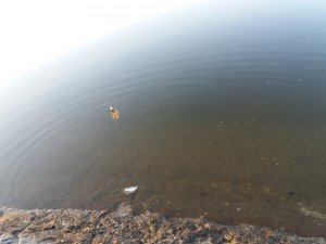 20190421_061142.jpg