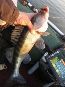 IMG_4554.JPG